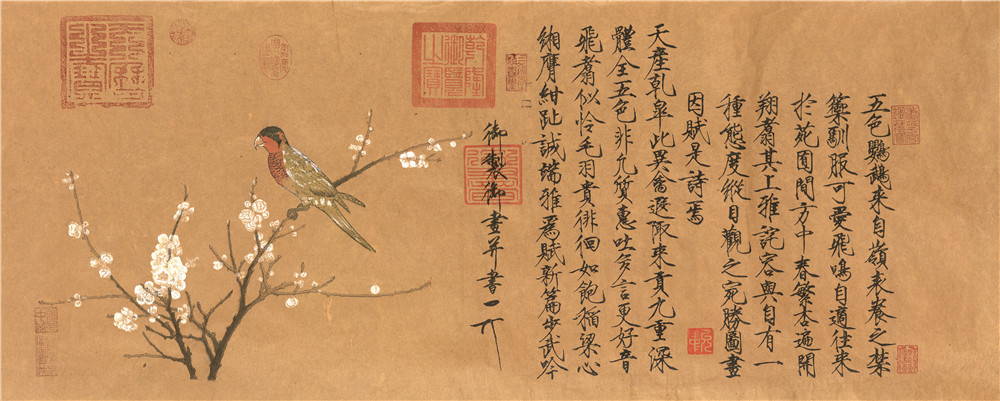 宋徽宗赵佶五色鹦鹉图